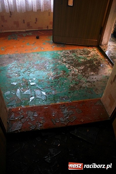 Zdjęcie w galerii na portalu naszraciborz.pl: Akcja antyterrorystów w Nieboczowach. Tu nie ma miejsca na pomyłki wiadomości z regionu