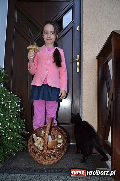 Zdjęcie w galerii na portalu naszraciborz.pl: Na grzyby czas. Pierwszy raport z lasów pod Raciborzem wiadomości z regionu