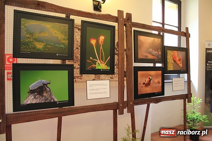 Zdjęcie w galerii na portalu naszraciborz.pl: Myśliwi świętowali dziś w Rudach 90-lecie PZŁ wiadomości z regionu