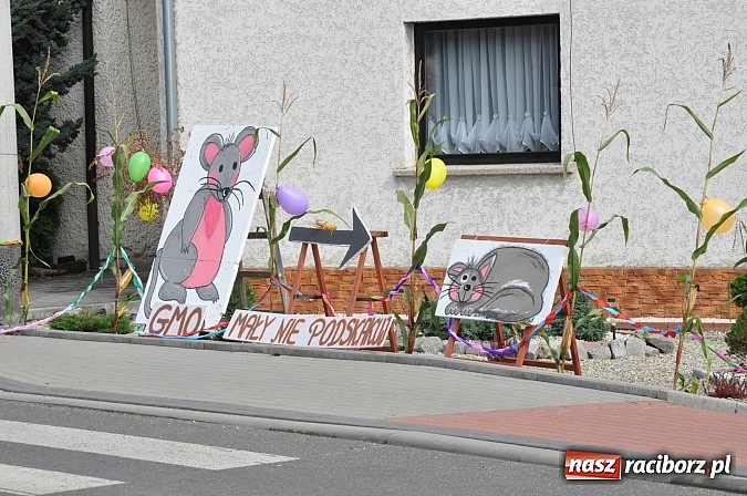 Zdjęcie w galerii na portalu naszraciborz.pl: VIP-y i specjalna ochrona na dożynkach w Pawłowie wiadomości z regionu