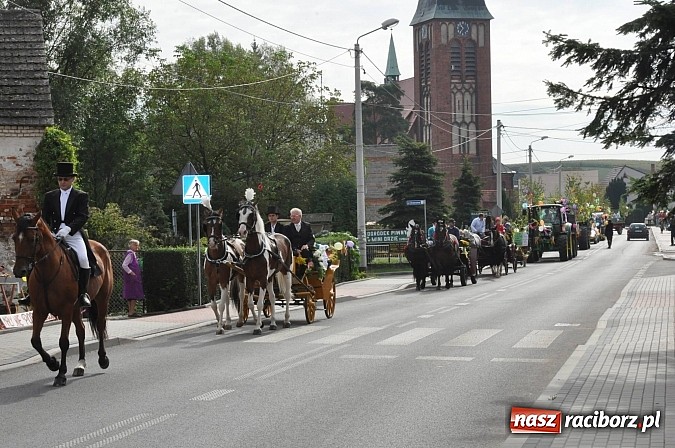 Zdjęcie w galerii na portalu naszraciborz.pl: VIP-y i specjalna ochrona na dożynkach w Pawłowie wiadomości z regionu