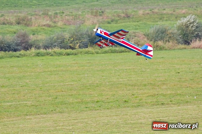 Zdjęcie w galerii na portalu naszraciborz.pl: Raciborskie air-show z dużą frekwencją wiadomości z regionu