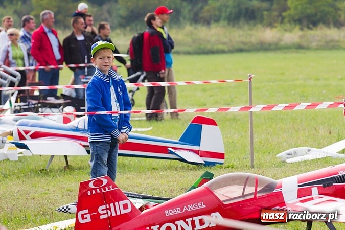 Zdjęcie w galerii na portalu naszraciborz.pl: Raciborskie air-show z dużą frekwencją wiadomości z regionu