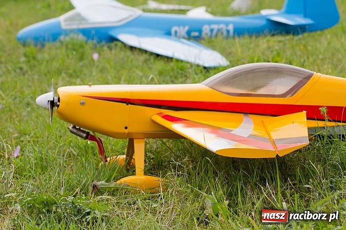 Zdjęcie w galerii na portalu naszraciborz.pl: Raciborskie air-show z dużą frekwencją wiadomości z regionu