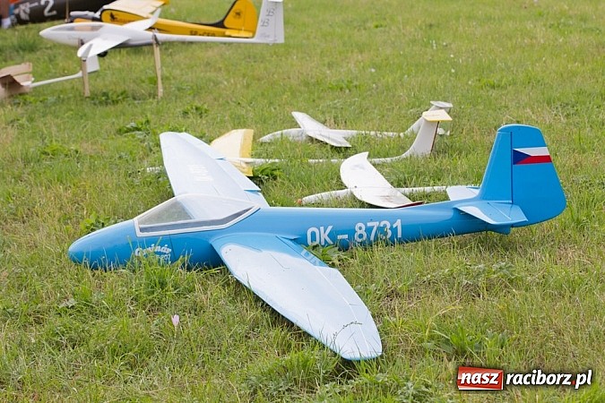 Zdjęcie w galerii na portalu naszraciborz.pl: Raciborskie air-show z dużą frekwencją wiadomości z regionu