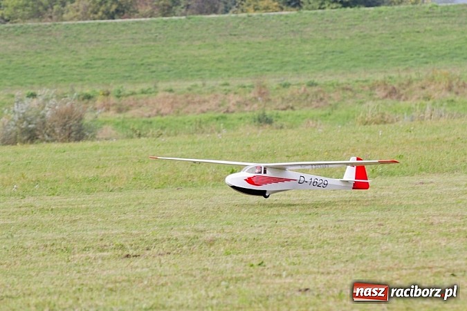 Zdjęcie w galerii na portalu naszraciborz.pl: Raciborskie air-show z dużą frekwencją wiadomości z regionu