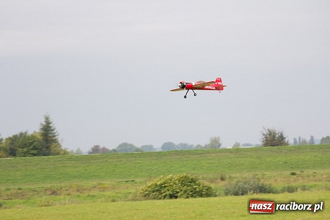 Zdjęcie w galerii na portalu naszraciborz.pl: Raciborskie air-show z dużą frekwencją wiadomości z regionu