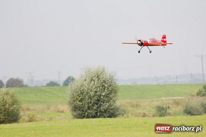 Zdjęcie w galerii na portalu naszraciborz.pl: Raciborskie air-show z dużą frekwencją wiadomości z regionu
