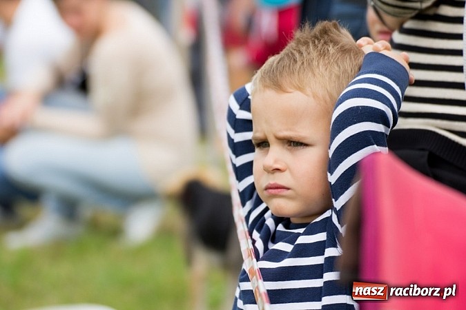 Zdjęcie w galerii na portalu naszraciborz.pl: Raciborskie air-show z dużą frekwencją wiadomości z regionu