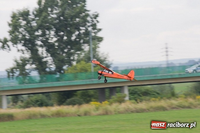 Zdjęcie w galerii na portalu naszraciborz.pl: Raciborskie air-show z dużą frekwencją wiadomości z regionu