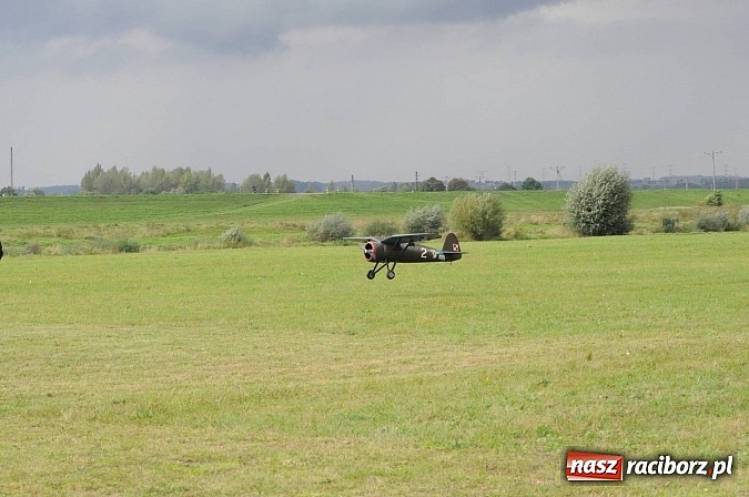 Zdjęcie w galerii na portalu naszraciborz.pl: Raciborskie air-show z dużą frekwencją wiadomości z regionu
