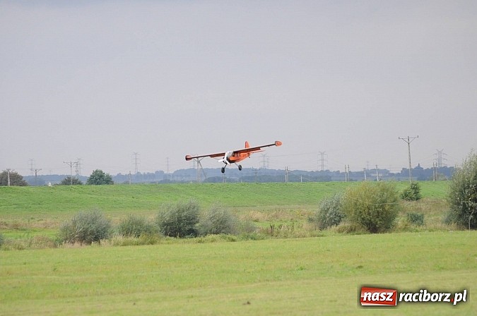 Zdjęcie w galerii na portalu naszraciborz.pl: Raciborskie air-show z dużą frekwencją wiadomości z regionu