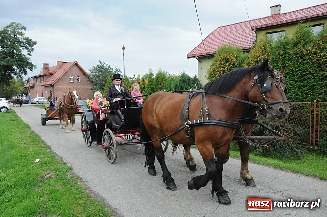 Zdjęcie w galerii na portalu naszraciborz.pl: Malutkie Łańce z długim barwnym korowodem wiadomości z regionu