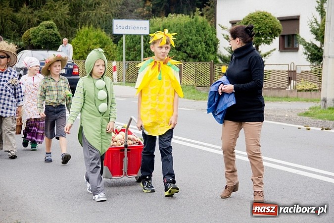 Zdjęcie w galerii na portalu naszraciborz.pl: Dożynki Sudół 2013. Wiejskie SPA z dojazdem do klienta wiadomości z regionu
