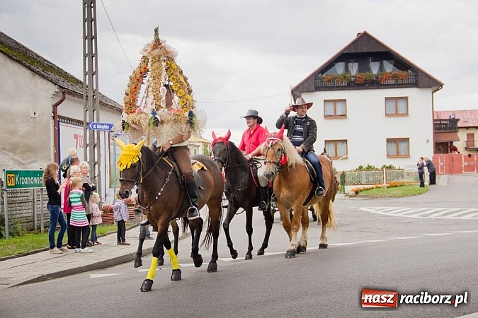Zdjęcie w galerii na portalu naszraciborz.pl: Dożynki Sudół 2013. Wiejskie SPA z dojazdem do klienta wiadomości z regionu