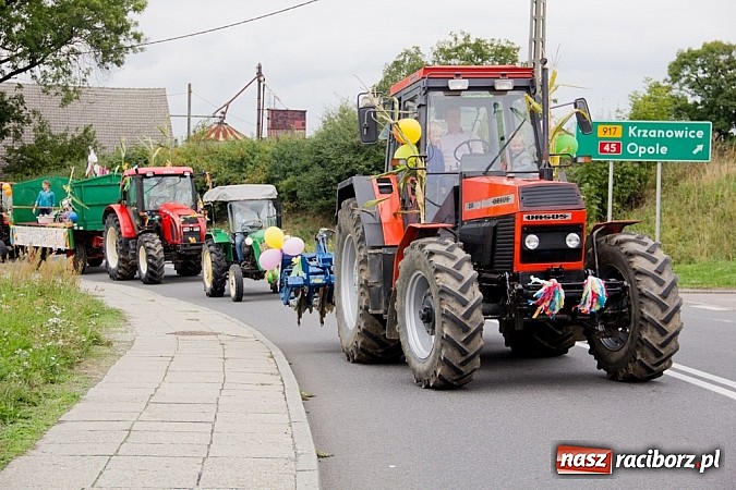 Zdjęcie w galerii na portalu naszraciborz.pl: Dożynki Sudół 2013. Wiejskie SPA z dojazdem do klienta wiadomości z regionu