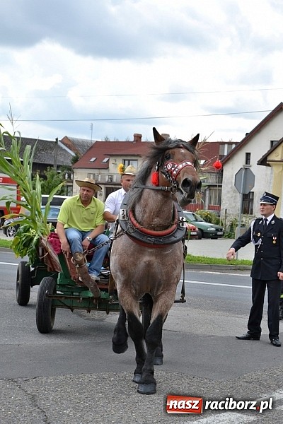 Zdjęcie w galerii na portalu naszraciborz.pl: Dożynki parafialne w Bieńkowicach wiadomości z regionu