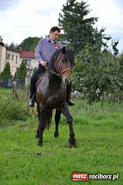Zdjęcie w galerii na portalu naszraciborz.pl: Dożynki parafialne w Bieńkowicach wiadomości z regionu