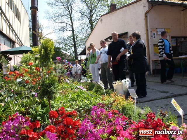 Zdjęcie w galerii na portalu naszraciborz.pl: Pietrowicka Eko-Wystawa rozpoczęta wiadomości z regionu