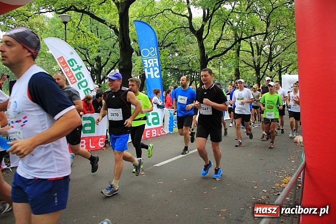 Zdjęcie w galerii na portalu naszraciborz.pl: Raciborzanie na wrocławskim maratonie wiadomości z regionu