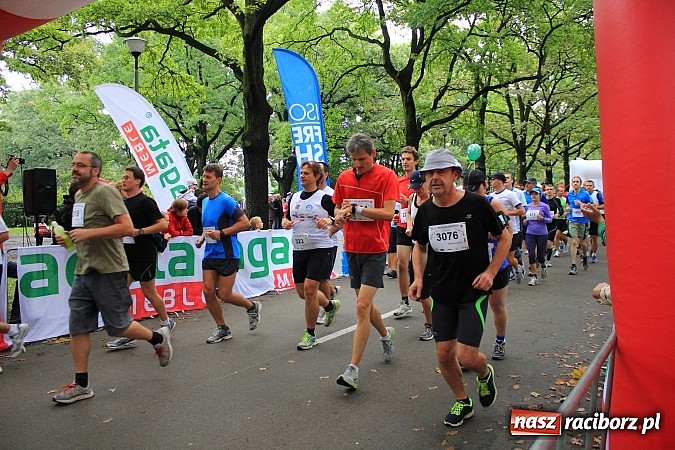 Zdjęcie w galerii na portalu naszraciborz.pl: Raciborzanie na wrocławskim maratonie wiadomości z regionu