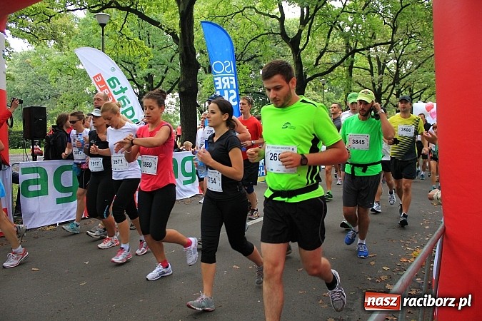 Zdjęcie w galerii na portalu naszraciborz.pl: Raciborzanie na wrocławskim maratonie wiadomości z regionu