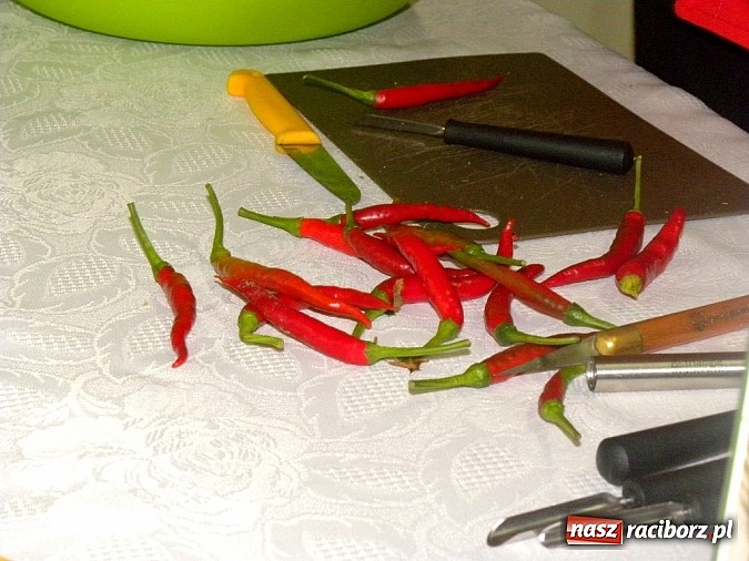 Zdjęcie w galerii na portalu naszraciborz.pl: Burak jako źródło przeżycia artystycznego wiadomości z regionu