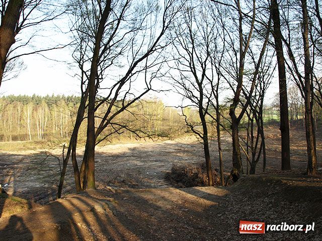 Zdjęcie w galerii na portalu naszraciborz.pl: Czarodziejski Ogród po polsku wiadomości z regionu