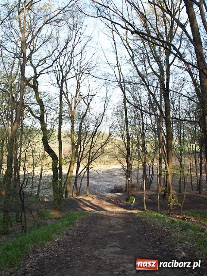 Zdjęcie w galerii na portalu naszraciborz.pl: Czarodziejski Ogród po polsku wiadomości z regionu