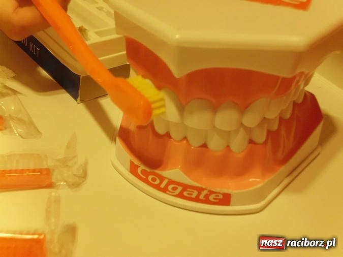 Zdjęcie w galerii na portalu naszraciborz.pl: Rola i zadania higienistki stomatologicznej... wiadomości z regionu