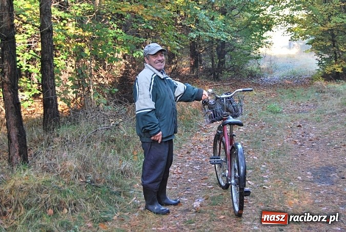 Zdjęcie w galerii na portalu naszraciborz.pl: Raport dla grzybiarzy z raciborskich lasów. Co po deszczu i chłodnych nocach? wiadomości z regionu