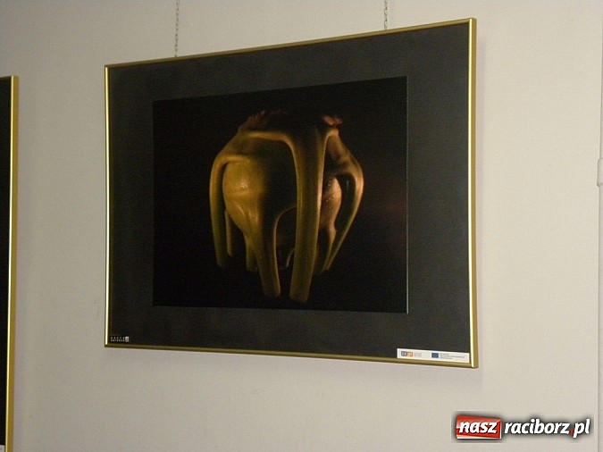 Zdjęcie w galerii na portalu naszraciborz.pl: Forma II - wernisaż wystawy wiadomości z regionu