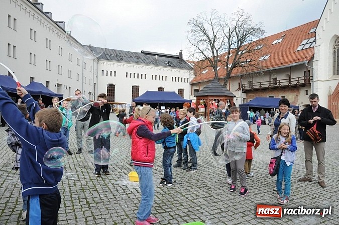 Zdjęcie w galerii na portalu naszraciborz.pl: Dziedziniec zamku zamienił się w wielkie naukowe laboratorium wiadomości z regionu