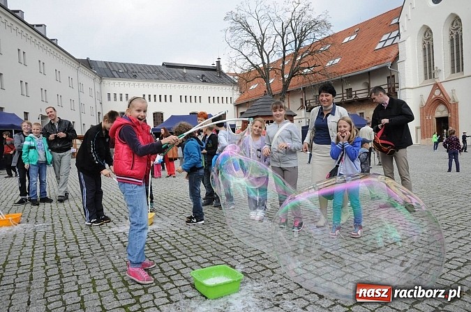 Zdjęcie w galerii na portalu naszraciborz.pl: Dziedziniec zamku zamienił się w wielkie naukowe laboratorium wiadomości z regionu