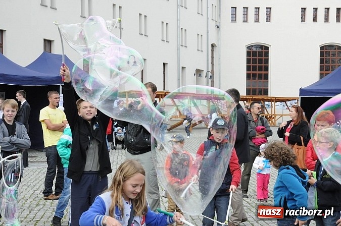 Zdjęcie w galerii na portalu naszraciborz.pl: Dziedziniec zamku zamienił się w wielkie naukowe laboratorium wiadomości z regionu