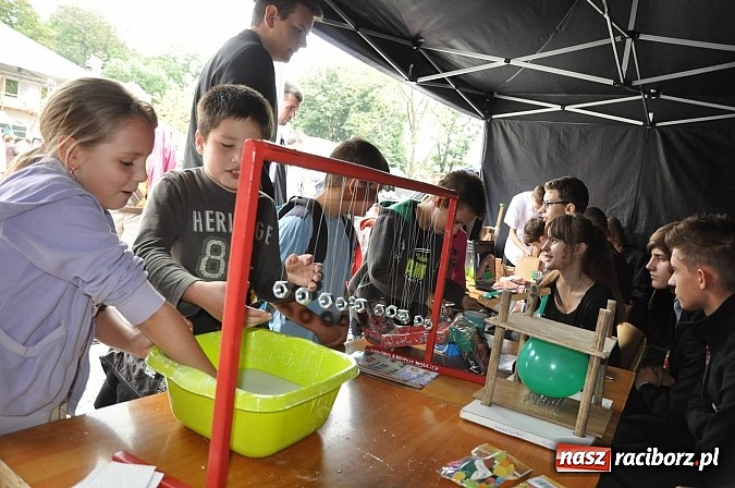 Zdjęcie w galerii na portalu naszraciborz.pl: Dziedziniec zamku zamienił się w wielkie naukowe laboratorium wiadomości z regionu