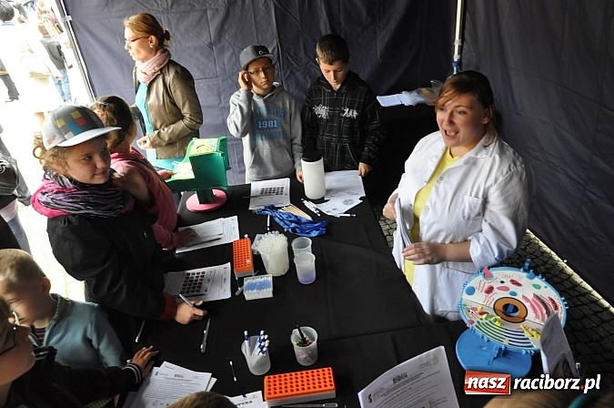 Zdjęcie w galerii na portalu naszraciborz.pl: Dziedziniec zamku zamienił się w wielkie naukowe laboratorium wiadomości z regionu