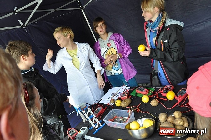 Zdjęcie w galerii na portalu naszraciborz.pl: Dziedziniec zamku zamienił się w wielkie naukowe laboratorium wiadomości z regionu