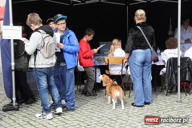 Zdjęcie w galerii na portalu naszraciborz.pl: Dziedziniec zamku zamienił się w wielkie naukowe laboratorium wiadomości z regionu