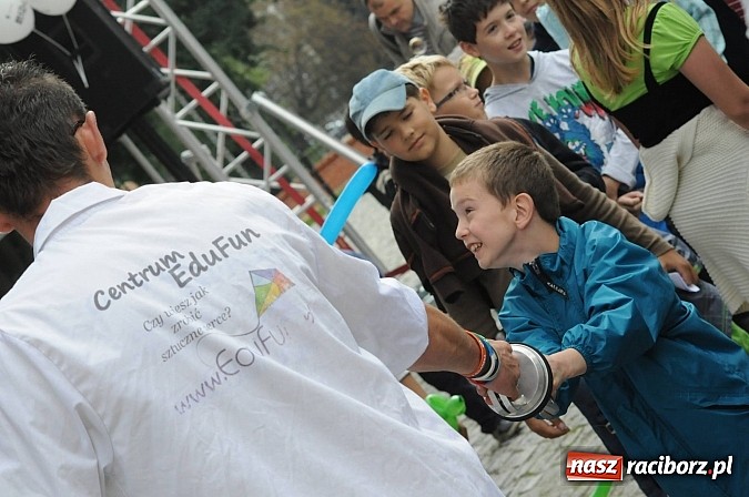 Zdjęcie w galerii na portalu naszraciborz.pl: Dziedziniec zamku zamienił się w wielkie naukowe laboratorium wiadomości z regionu