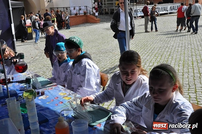 Zdjęcie w galerii na portalu naszraciborz.pl: Dziedziniec zamku zamienił się w wielkie naukowe laboratorium wiadomości z regionu