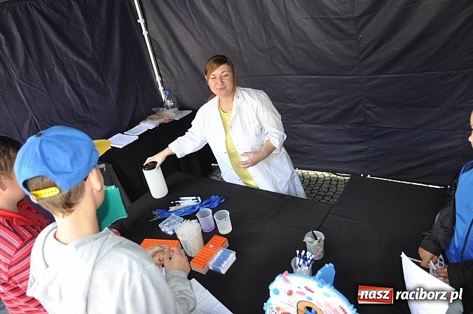 Zdjęcie w galerii na portalu naszraciborz.pl: Dziedziniec zamku zamienił się w wielkie naukowe laboratorium wiadomości z regionu