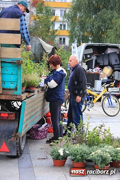 Zdjęcie w galerii na portalu naszraciborz.pl: Za zużyty sprzęt otrzymali sadzonki i świetlówki wiadomości z regionu