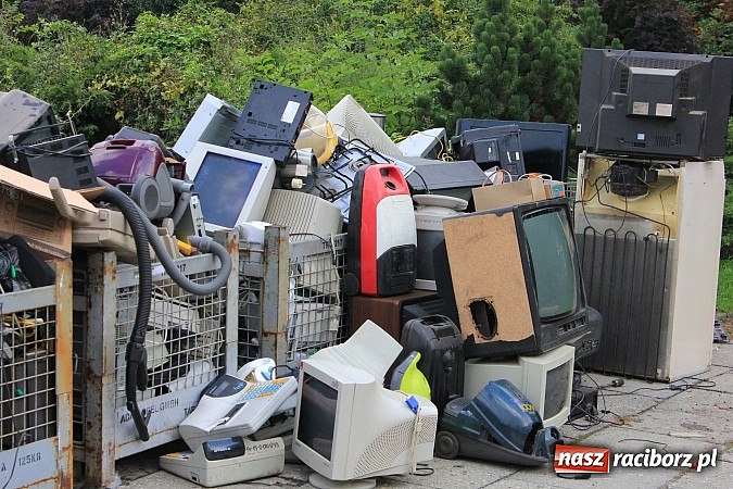 Zdjęcie w galerii na portalu naszraciborz.pl: Za zużyty sprzęt otrzymali sadzonki i świetlówki wiadomości z regionu