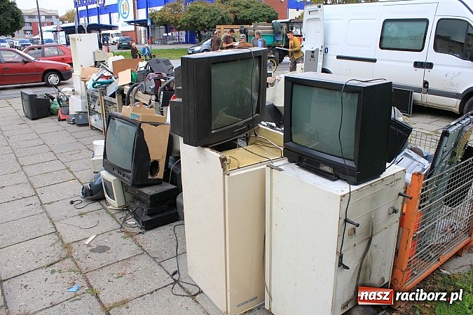 Zdjęcie w galerii na portalu naszraciborz.pl: Za zużyty sprzęt otrzymali sadzonki i świetlówki wiadomości z regionu