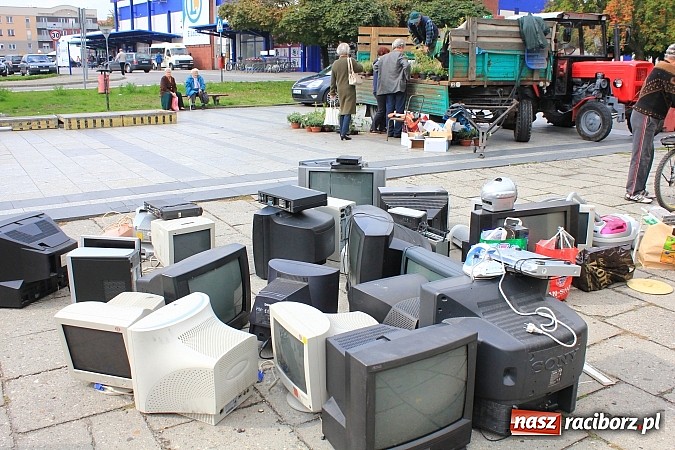 Zdjęcie w galerii na portalu naszraciborz.pl: Za zużyty sprzęt otrzymali sadzonki i świetlówki wiadomości z regionu