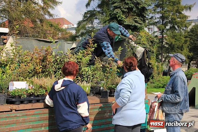 Zdjęcie w galerii na portalu naszraciborz.pl: Za zużyty sprzęt otrzymali sadzonki i świetlówki wiadomości z regionu
