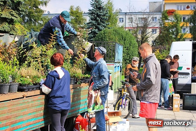 Zdjęcie w galerii na portalu naszraciborz.pl: Za zużyty sprzęt otrzymali sadzonki i świetlówki wiadomości z regionu