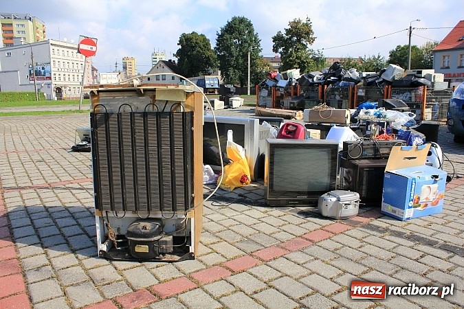 Zdjęcie w galerii na portalu naszraciborz.pl: Za zużyty sprzęt otrzymali sadzonki i świetlówki wiadomości z regionu