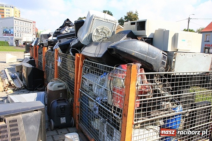 Zdjęcie w galerii na portalu naszraciborz.pl: Za zużyty sprzęt otrzymali sadzonki i świetlówki wiadomości z regionu
